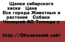 Щенки сибирского хаски › Цена ­ 12 000 - Все города Животные и растения » Собаки   . Ненецкий АО,Топседа п.